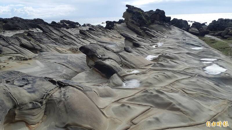 东管处暑假办东海岸环教 邀小朋友赏鲸、观地质、走读海港 自由时报电子报-Good Luck To You!