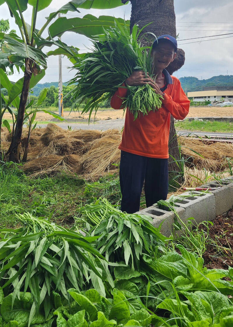 中投公路桥下市集 小农活化脏乱点打造「旧食栈」 自由时报电子报-Good Luck To You!